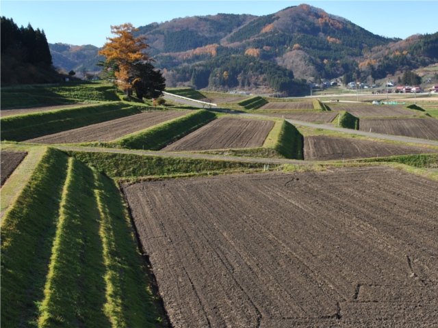 遠野市宮守地区の畑風景