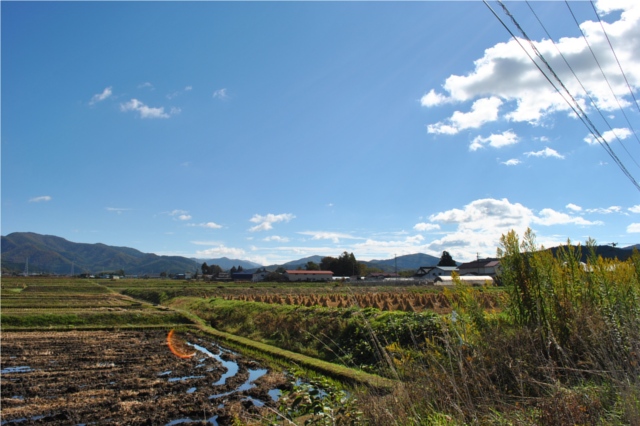 遠野の自然風景